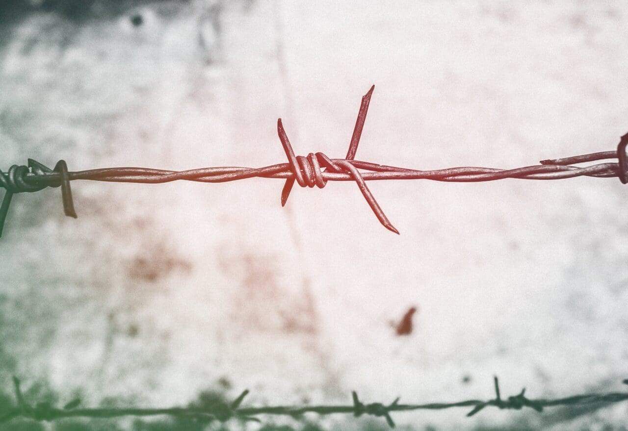 Closeup of barbed wire