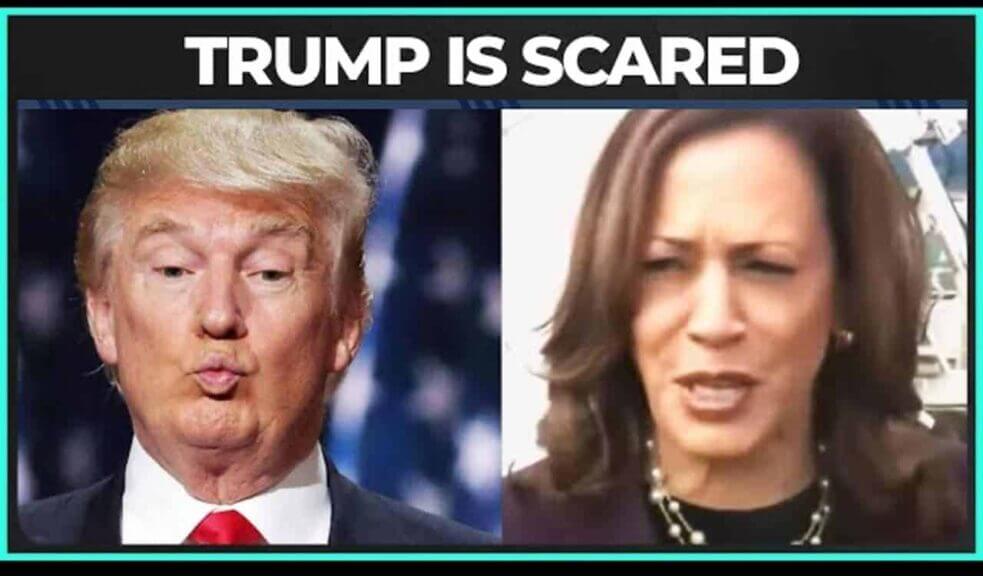 Trump and kamala harris