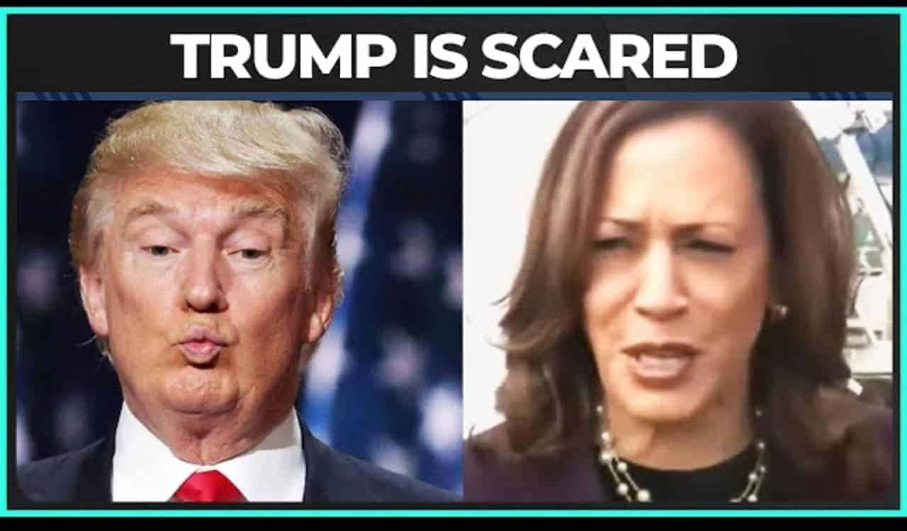 Trump and kamala harris