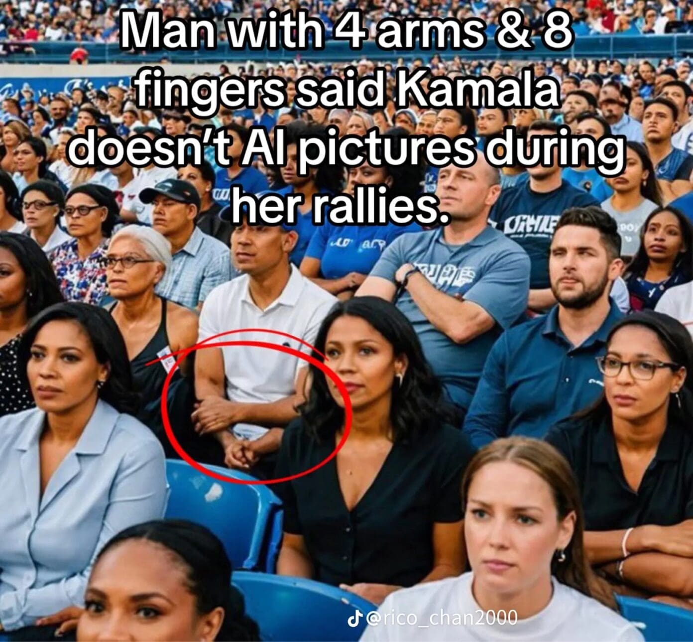 Ai-generated image of harris campaign rally crowd.