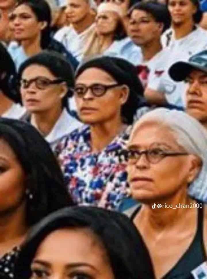 Ai-generated image of harris campaign rally crowd.