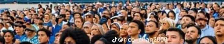 Ai-generated image of harris campaign rally crowd.