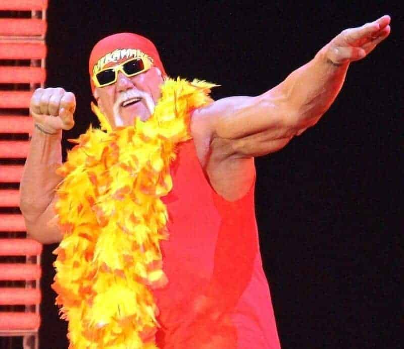Charli xcx’s endorsement of kamala, hulk hogan endorsed trump