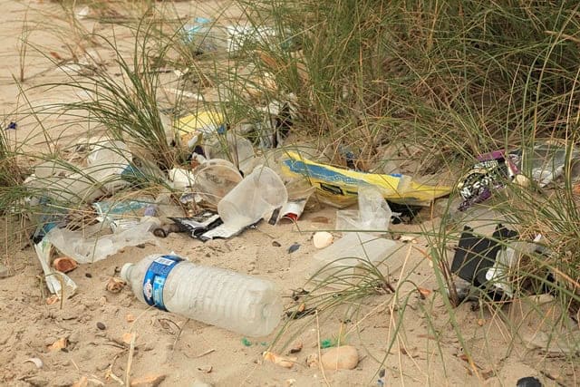 Trump’s Attack On Paper Straws Is Mostly Symbolic — But The Plastics Industry Is Celebrating Attack on paper straws is mostly symbolic but plastic littering our beaches is a real problem