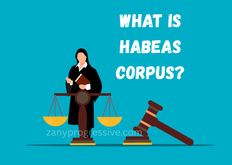 What is habeas corpus? Written on a graphic of a judge, the scales of justice, and a gavel