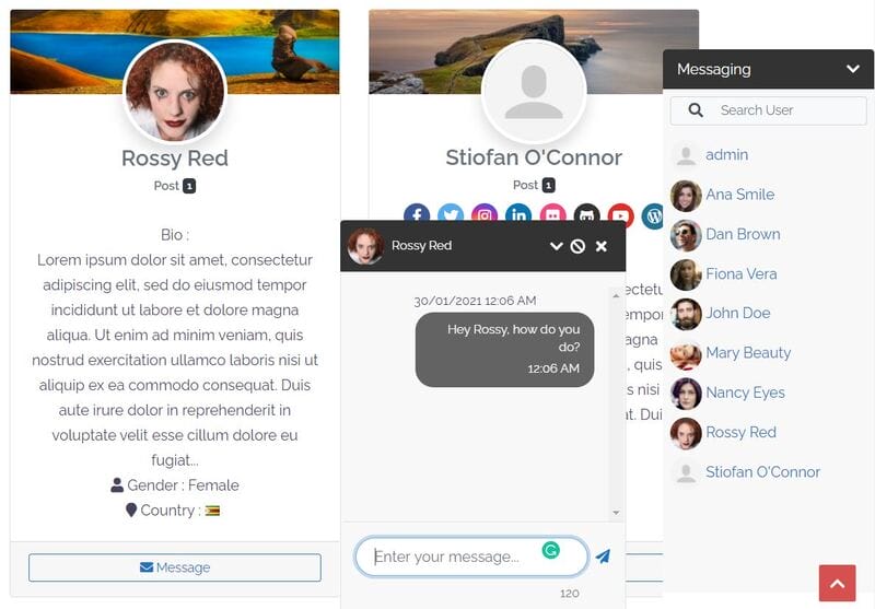 Join a progressive community support faq screenshot of the user directory page with the zany messenger window open