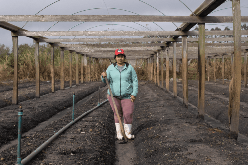 One of the brazilian farmers