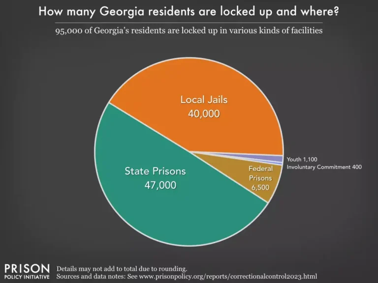 georgia-prison-statistics1 Pie cchart of Georgia prison statistics