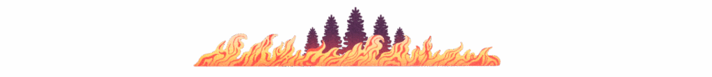 Forest fire separator graphic