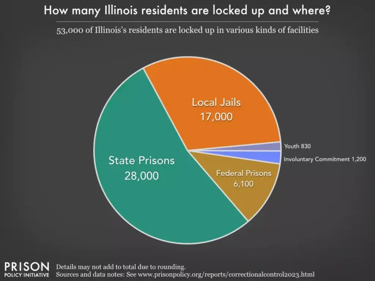 Illinois prison statistics pie chart