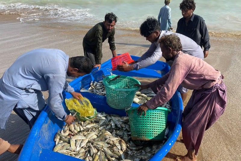 Pakistani fishers