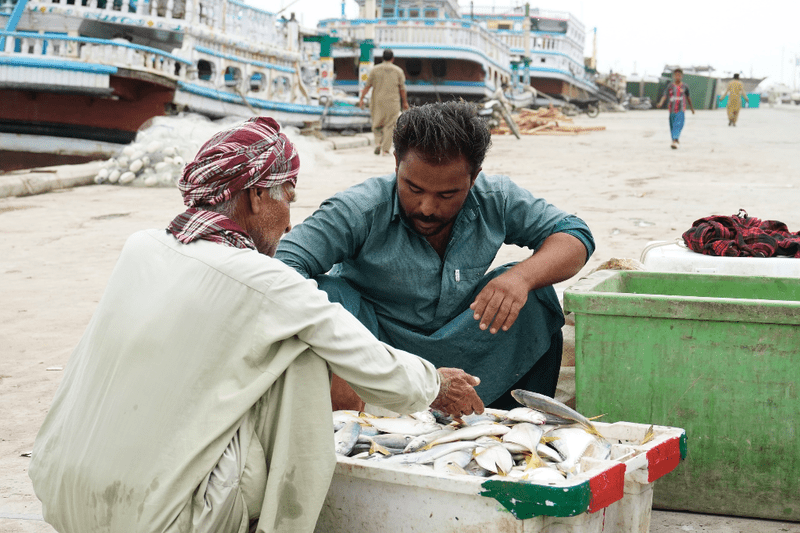 Pakistani fishers