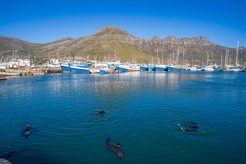 Lake in south africa