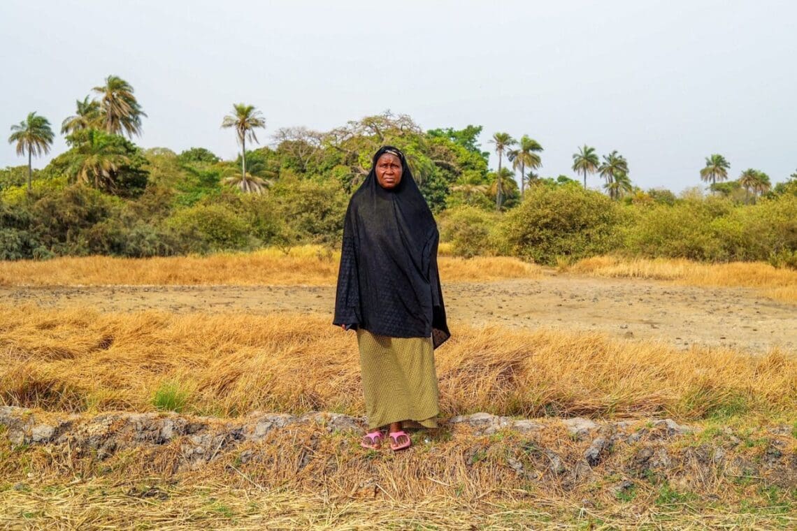 ‘We Have No One To Help Us’: A Tide Of Salt Is Killing The Gambia’s Rice Woman in gambia