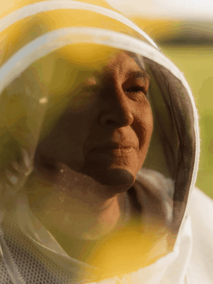 The Woman Who Rescues Bees: From Doomed Swarm To Thriving Hive The woman who rescues bees with her face reflected in her coffee.